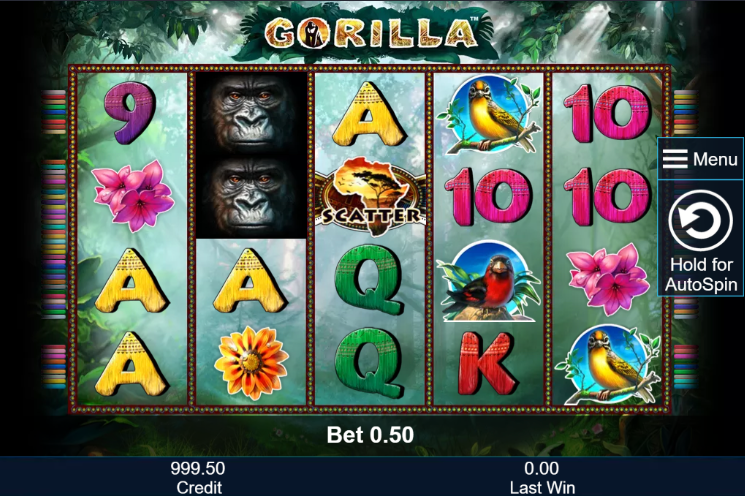 Gorilla