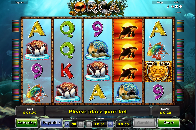 Orca