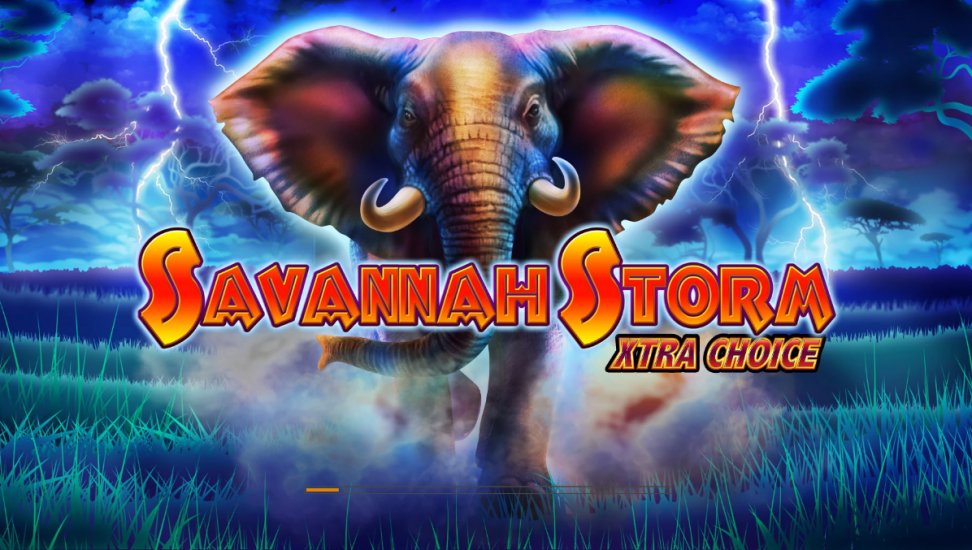 Savannah Storm Xtra Choice